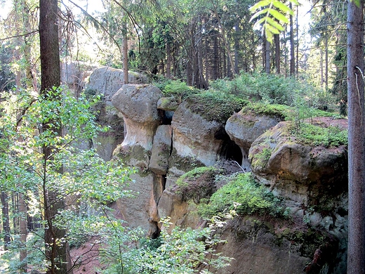 Rezerwat przyrody Gazy Krasnoludkw