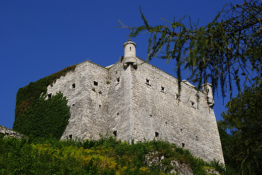 Zamek w Pieskowej Skale