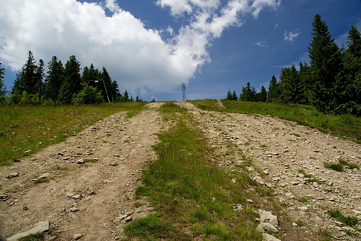 Klimczok