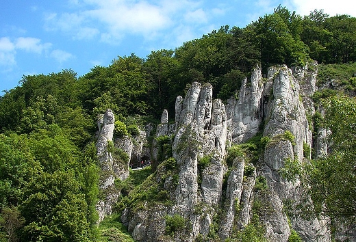 Ojcowski Park Narodowy