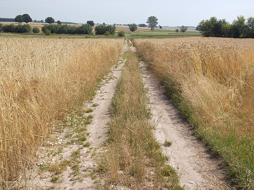 Moje rowerowe szlaki.