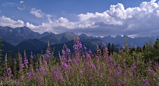 Tatry