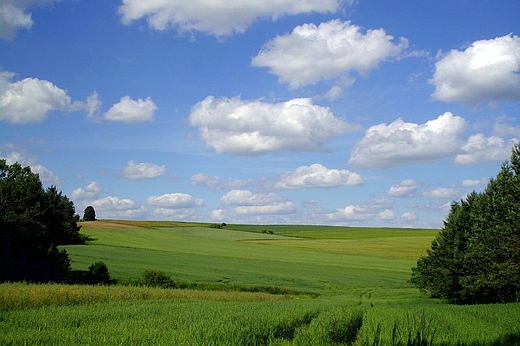 Pejza: okolice Piaskw Szlacheckich w gminie Gorzkw