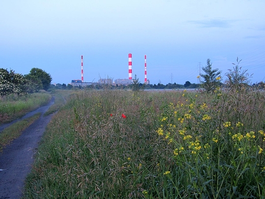 Czerwiec w Warszawie