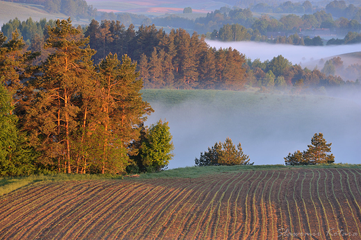 Widok z Cisowej Gry o wicie