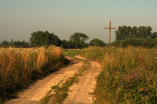 Krajobrazy Roztocza. Okolice Polan