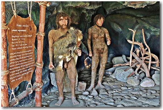 eba Park -Park Dinozaurw ; hominidy-blisi i dalsi przodkowie