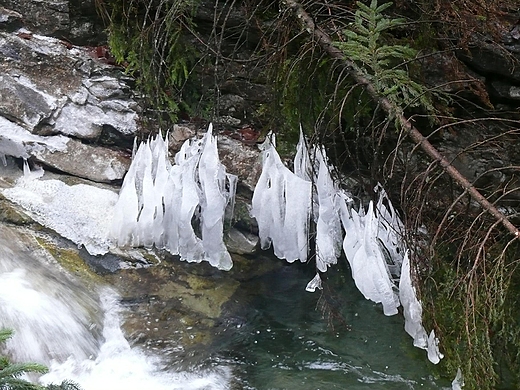 Grskie anioy w Dolinie Biaego. Tatry