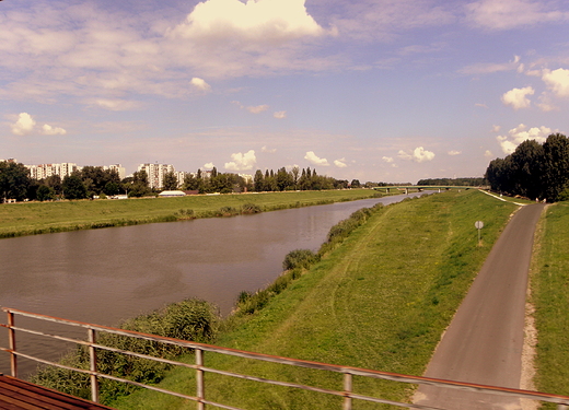 w Opolu