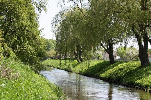 Rzeka eba