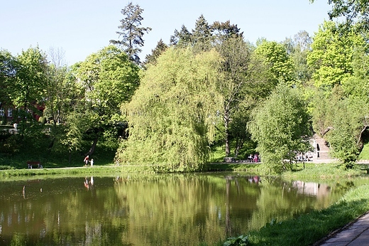 Park Chrobrego