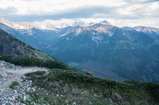 Widok z trasy Kasprowy Wierch-Dolina Kondratowa