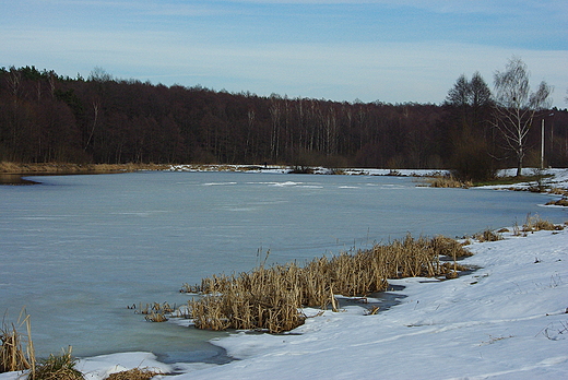 Jedlnia-Letnisko. Zalew