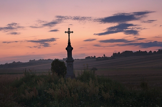 Roztocze. Przydrona kapliczka