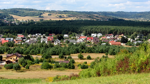 w Zwierzycu