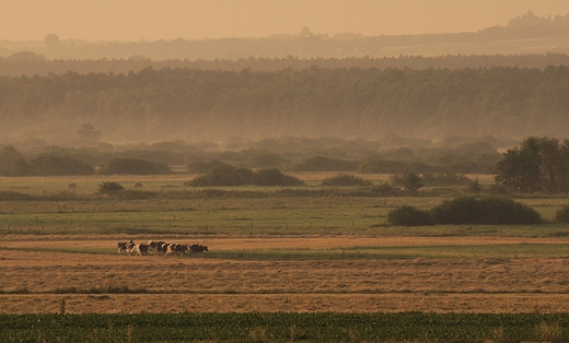 niatycze, poranek