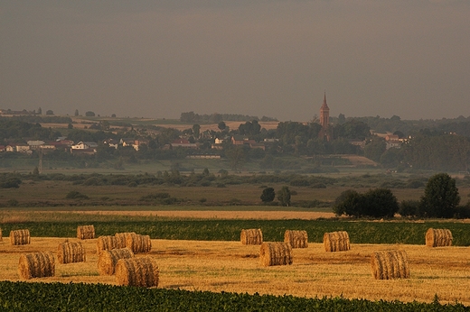 niatycze. Pola