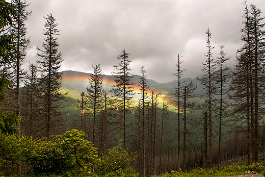 Tatry - tczowe wzgrze