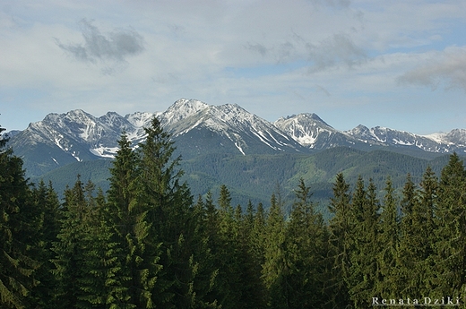 Tatry widziane z Bukowiny Tatrzaskiej