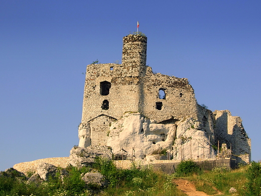 Szlakiem Orlich Gniazd