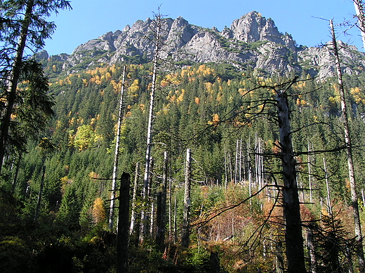 Na szlaku. Tatry