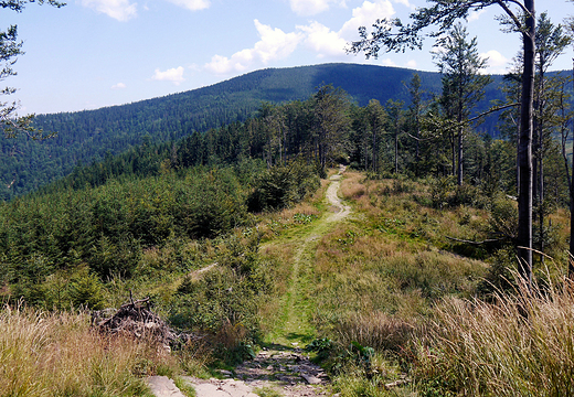 Beskid ywiecki. Widok na Pasmo Polic z Mosornego Gronia.