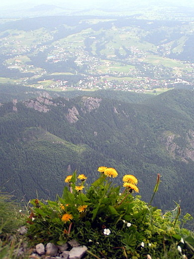 Na Giewoncie. Tatry