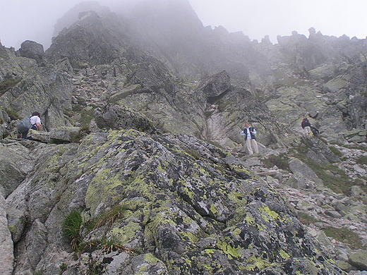 W drodze na winic. Tatry