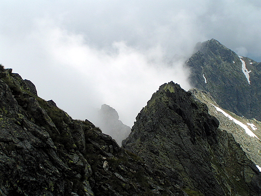 Widok ze winicy