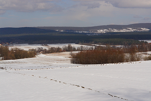 Pasmo Klonowskie. Widok z Brzezinek