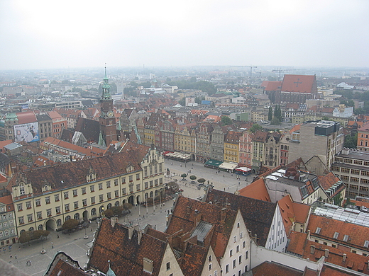 Rynek we Wrocawiu