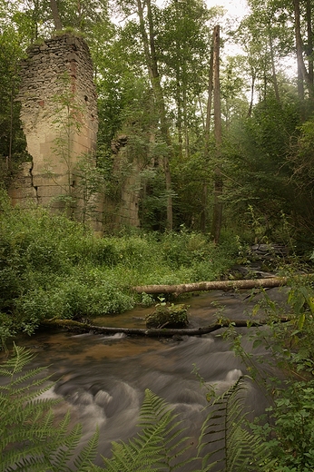 Roztocze. Rezerwat Czartowe Pole