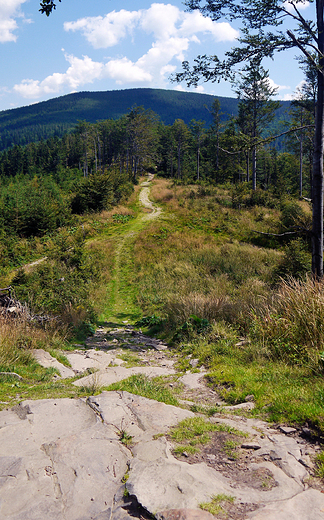 Beskid ywiecki. Szlak z Mosornego na Hal mietanow.