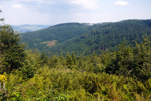 Beskid ywiecki. Pasmo Polic ogldane znad Mosornego.