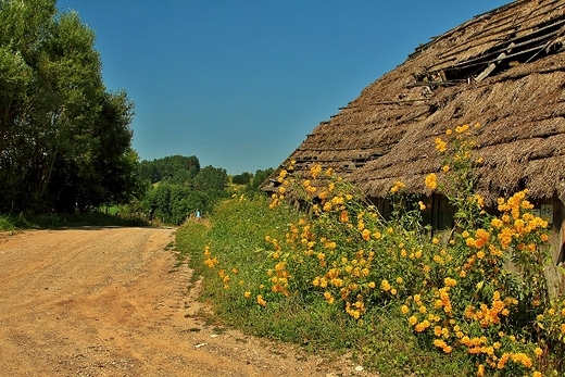 Wodziłki