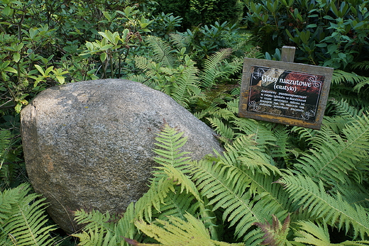 Głazy narzutowe w ogrodzie botanicznym Mikołów - Bujaków