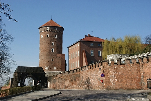 Wawel