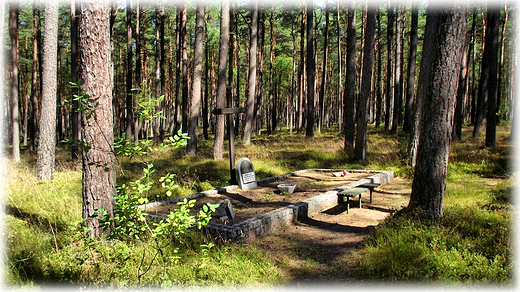 Rowerem po Kaszubach- lasy pianickie