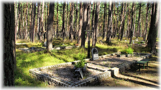 Rowerem po Kaszubach- lasy pianickie