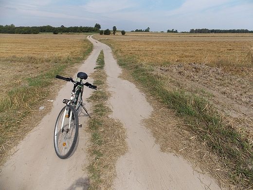 Toru Grny. Moje rowerowe szlaki.