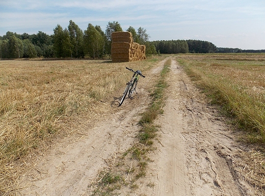 Toru Grny. Moje rowerowe szlaki.