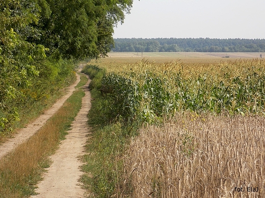 Kosewko. Moje rowerowe szlaki.