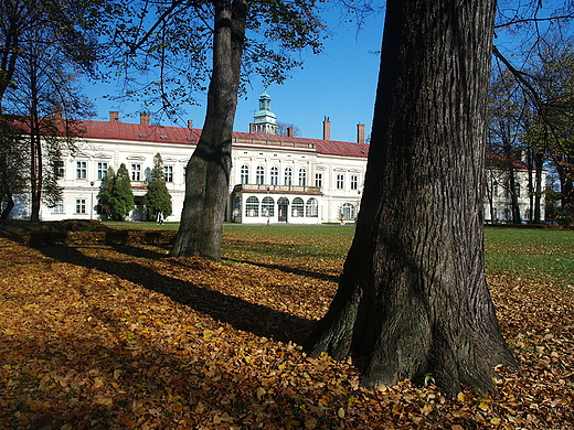 ywiec. Nowy Zamek od strony parku