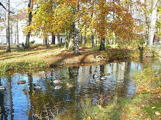 ywiec. Park zamkowy