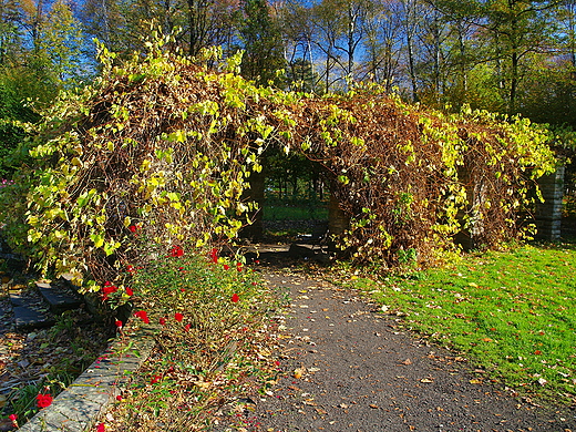 ywiec. Pergola w parku zamkowym