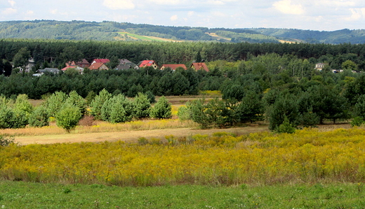 w Zwierzycu