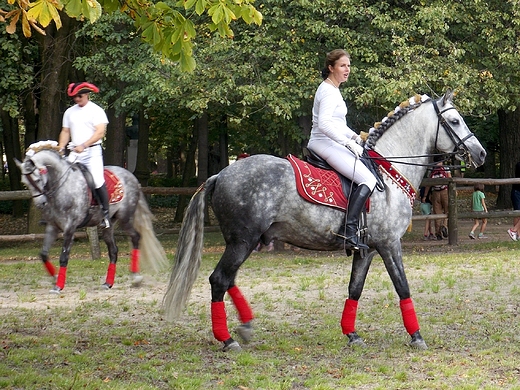 Warszawa. Niedziela w azienkach. Po pokazach konnych.