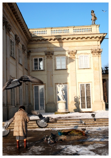 Dokarmianie ptaków przed Pałacem na Wodzie - z tego poczęstunku najbardziej skorzysta paw i gołębie