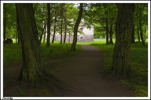 Owiska - klasycystyczny paac rodziny von Treskow _ przypaacowy park krajobrazowy