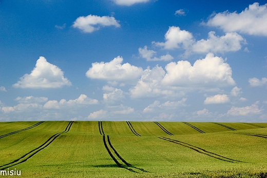 po drodze do Janowa Lubelskiego